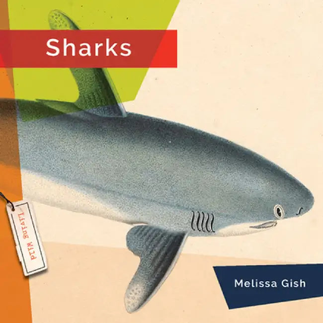 Buy Sharks (English, Melissa Gish) Online at Best Price - BookBajar