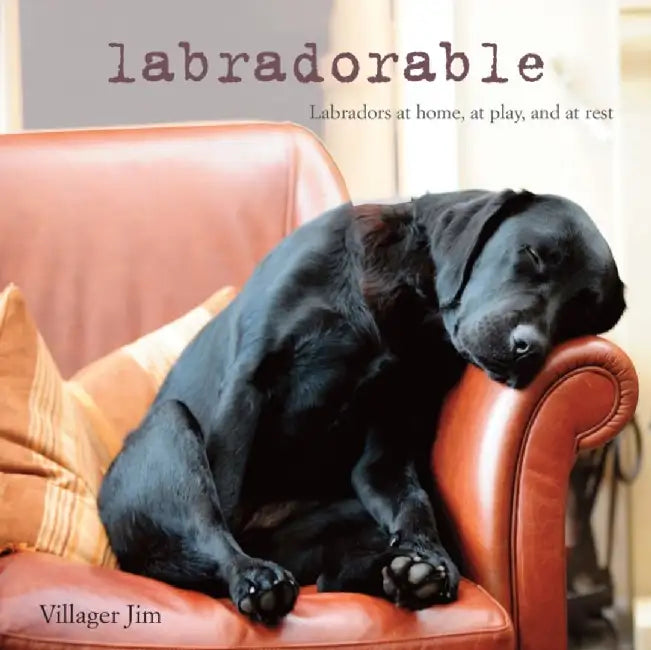 Buy Labradorable (English, Jim | Villager) Online at Best Price - BookBajar
