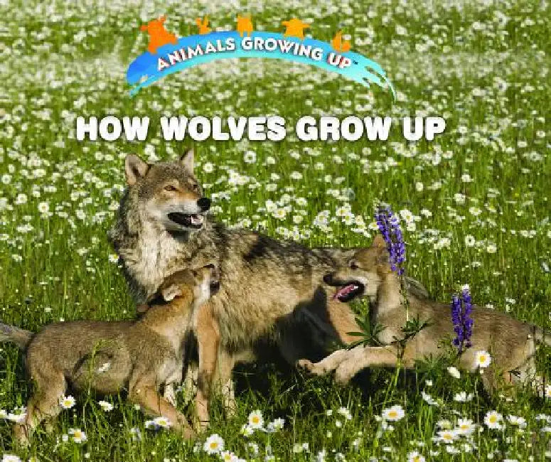 Buy How Wolves Grow Up (English, Linda Bozzo) Online at Best Price - BookBajar