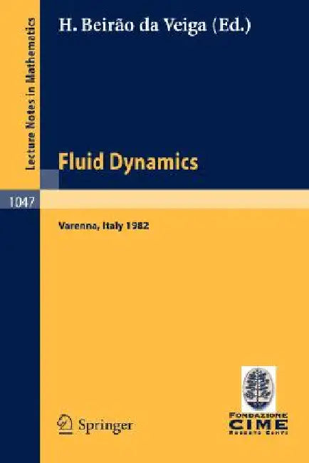 Buy Fluid Dynamics (English, H. Beirao Da Veiga) Online at Best Price - BookBajar