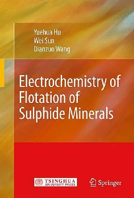 Buy Electrochemistry of Flotation of Sulphide Minerals (English, Yuehua Hu | Wei Sun | Dianzuo Wang) Online at Best Price - BookBajar