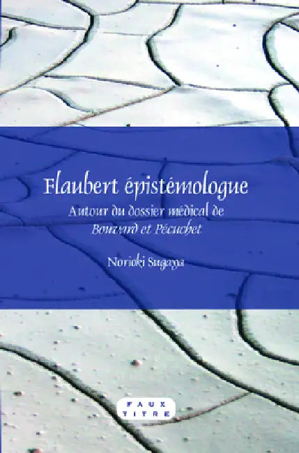 Buy Flaubert épistémologue (English, Norioki Sugaya) Online at Best Price - BookBajar