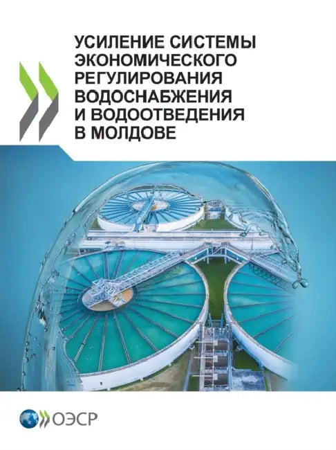 Buy УСИЛЕНИЕ СИСТЕМ& (English, Oecd) Online at Best Price - BookBajar