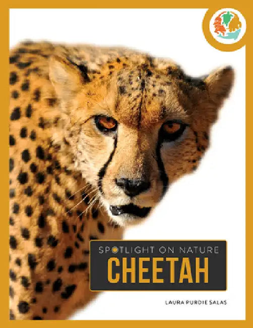 Buy Cheetah (English, Laura Purdie Salas) Online at Best Price - BookBajar