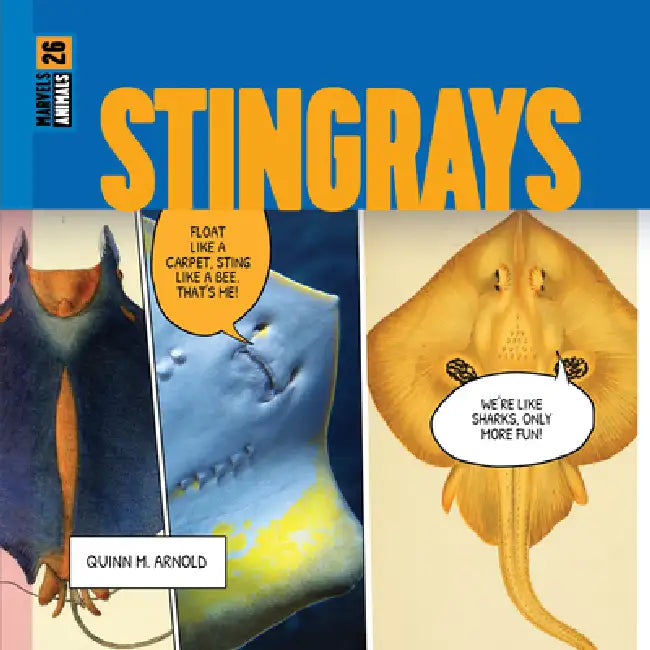 Buy Stingrays (English, Quinn M. Arnold) Online at Best Price - BookBajar