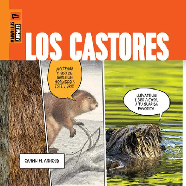 Buy Los Castores (English, Quinn M. Arnold) Online at Best Price - BookBajar