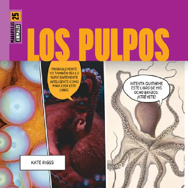Buy Los Pulpos (English, Kate Riggs) Online at Best Price - BookBajar