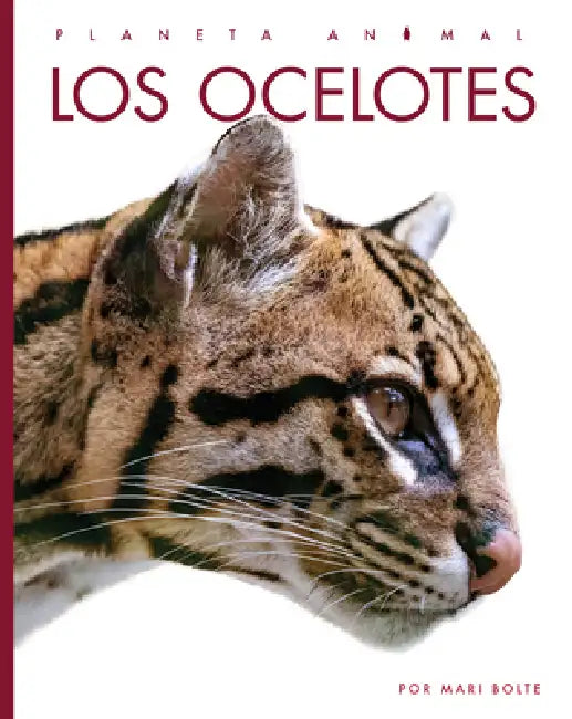 Buy Los Ocelotes (English, Mari Bolte) Online at Best Price - BookBajar