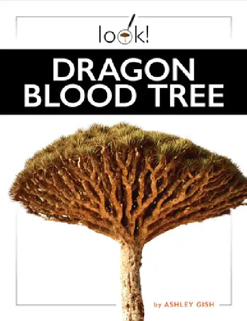 Buy Dragon Blood Tree (English, Ashley Gish) Online at Best Price - BookBajar