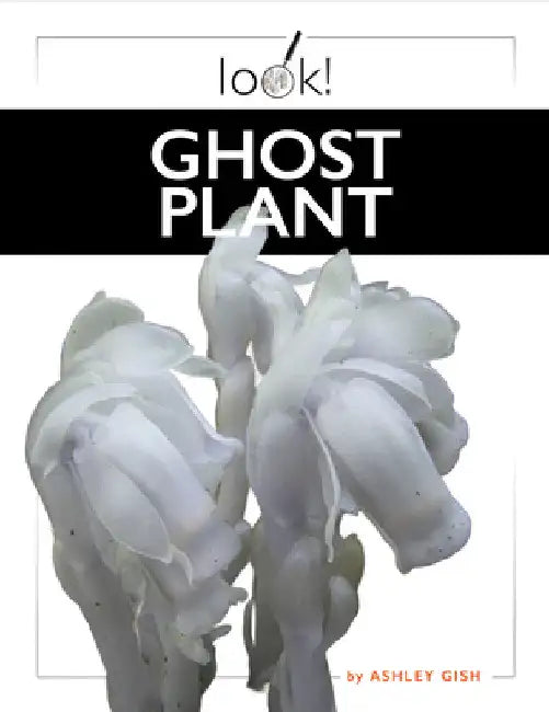 Buy Ghost Plant (English, Ashley Gish) Online at Best Price - BookBajar