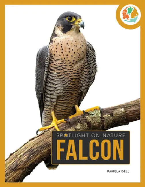 Buy Falcon (English, Pamela Dell) Online at Best Price - BookBajar