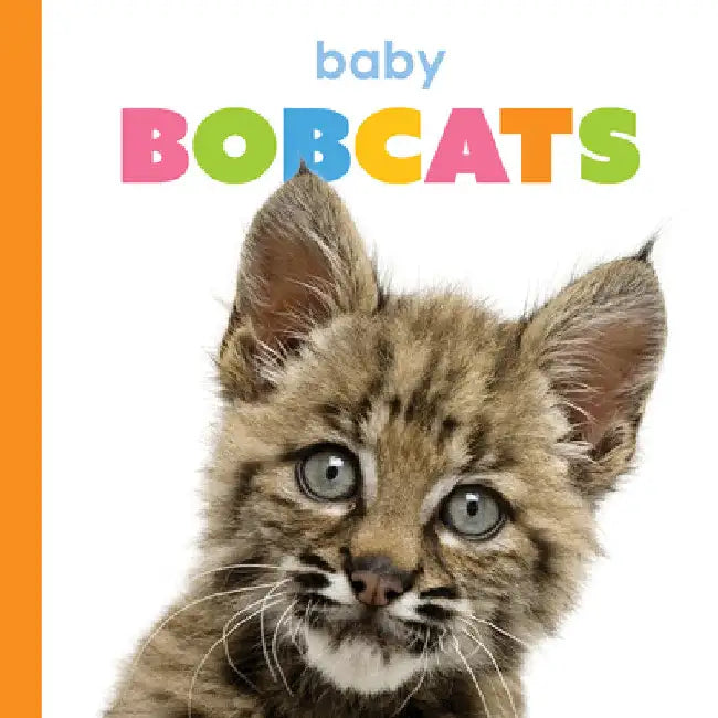Buy Baby Bobcats (English, Kim Thompson) Online at Best Price - BookBajar