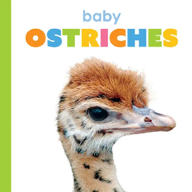 Buy Baby Ostriches (English, Kim Thompson) Online at Best Price - BookBajar