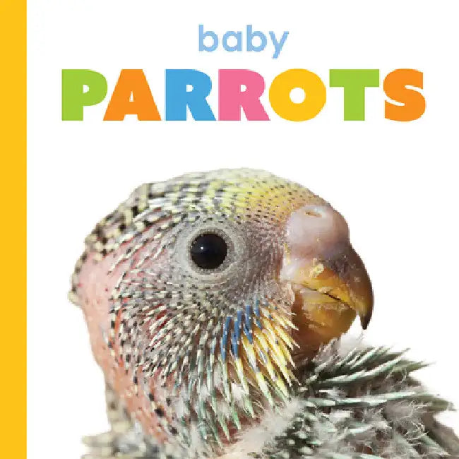 Buy Baby Parrots (English, Kim Thompson) Online at Best Price - BookBajar