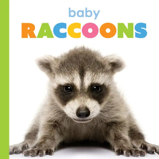 Buy Baby Raccoons (English, Kim Thompson) Online at Best Price - BookBajar