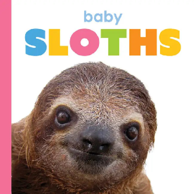 Buy Baby Sloths (English, Kim Thompson) Online at Best Price - BookBajar