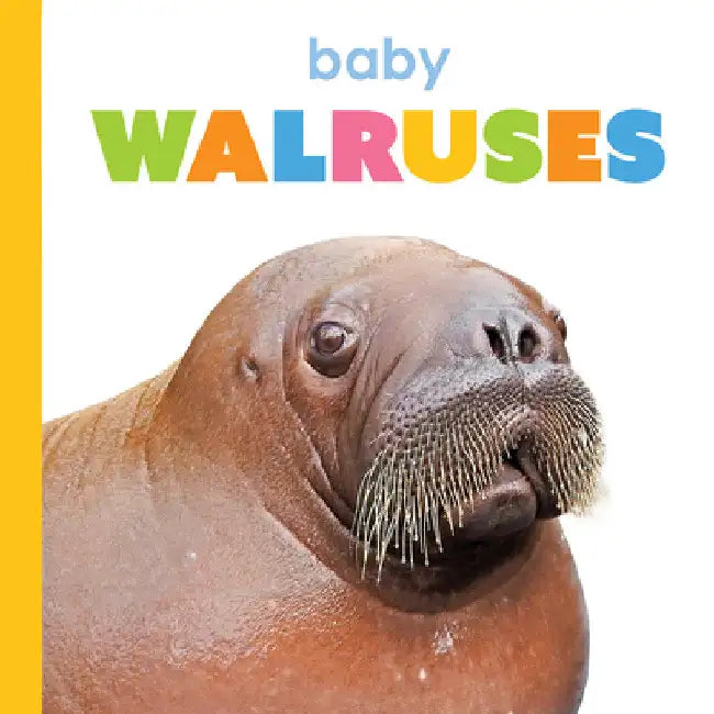 Buy Baby Walruses (English, Kim Thompson) Online at Best Price - BookBajar