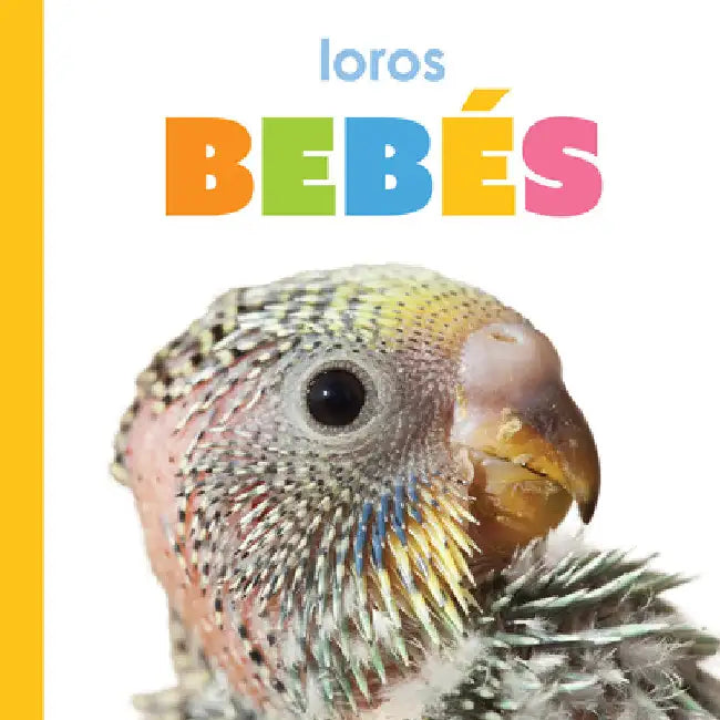 Buy Loros Bebés (English, Kim Thompson) Online at Best Price - BookBajar