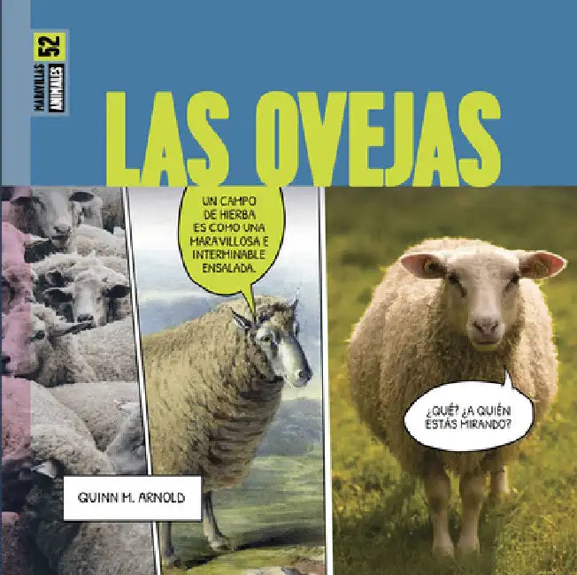 Buy Las Ovejas (English, Quinn M. Arnold) Online at Best Price - BookBajar