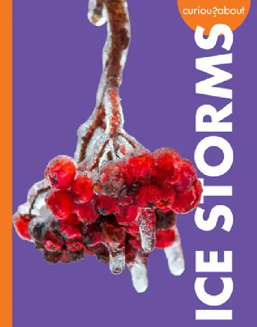 Buy Curious about Ice Storms (English, Deborah Scigliano) Online at Best Price - BookBajar