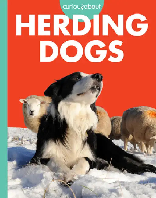 Buy Curious about Herding Dogs (English, Cari Meister) Online at Best Price - BookBajar