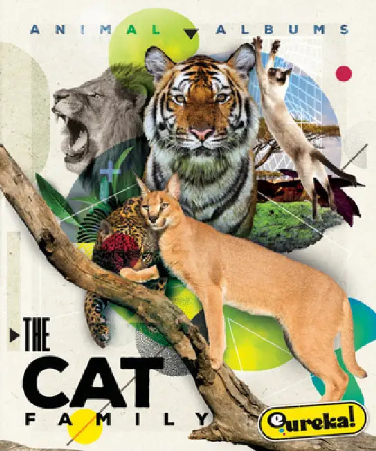 Buy The Cat Family (English, Golriz Golkar) Online at Best Price - BookBajar