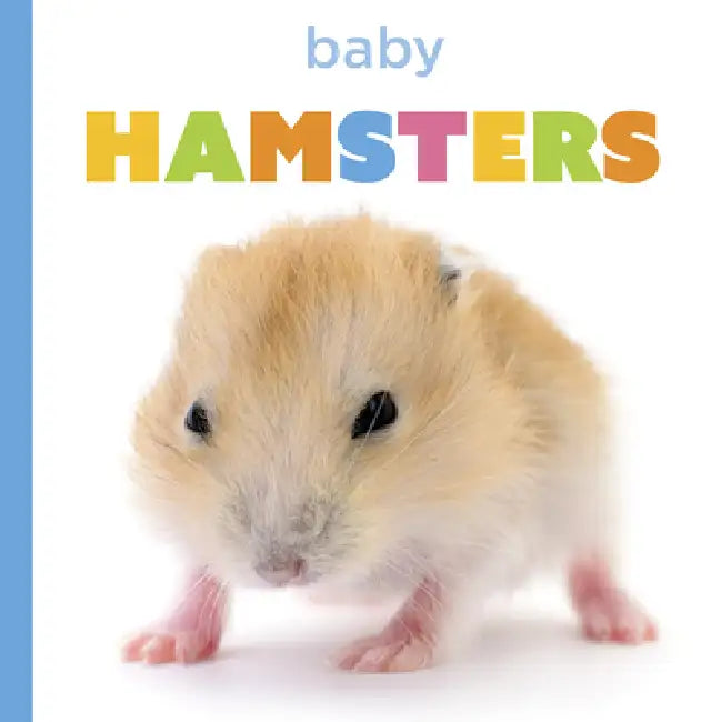 Buy Baby Hamsters (English, Laura K. Murray) Online at Best Price - BookBajar
