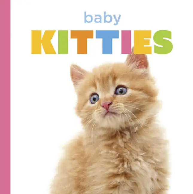 Buy Baby Kitties (English, Laura K. Murray) Online at Best Price - BookBajar
