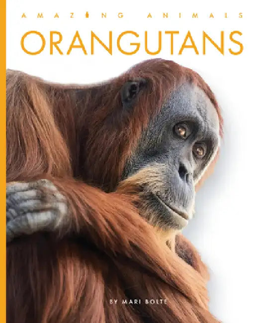 Buy Orangutans (English, Mari Bolte) Online at Best Price - BookBajar