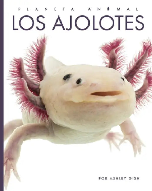 Buy Los Ajolotes (English, Ashley Gish) Online at Best Price - BookBajar