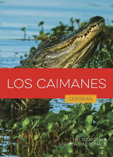 Buy Los Caimanes (English, Melissa Gish | Andrea MacDonald) Online at Best Price - BookBajar