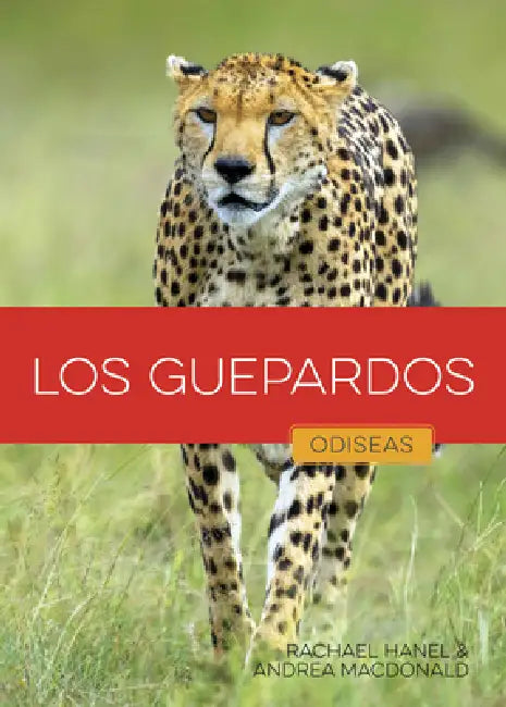 Buy Los Guepardos (English, Rachael Hanel | Andrea MacDonald) Online at Best Price - BookBajar