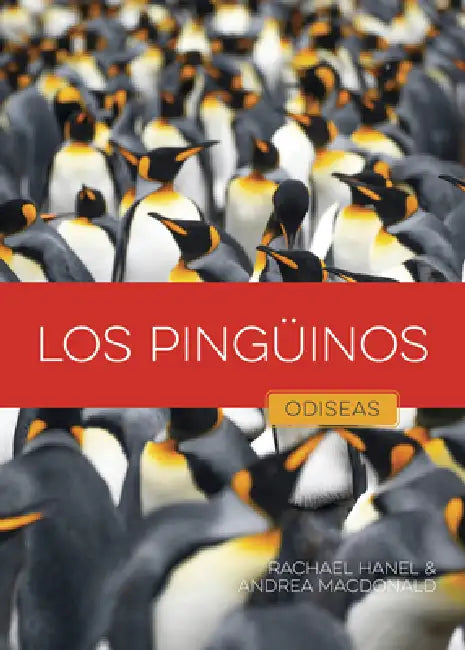 Buy Los Pingüinos (English, Rachael Hanel | Andrea MacDonald) Online at Best Price - BookBajar