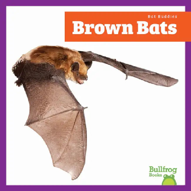 Buy Brown Bats (English, Jenna Lee Gleisner) Online at Best Price - BookBajar