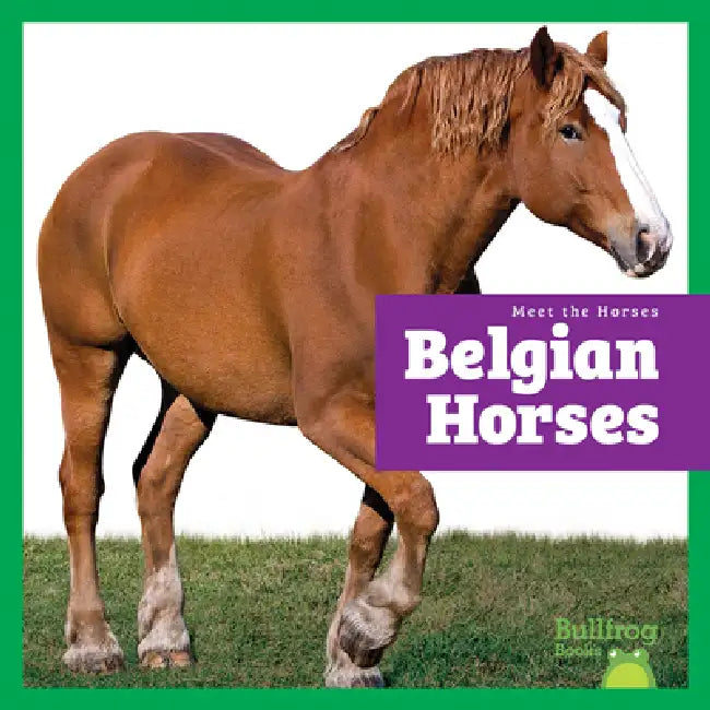 Buy Belgian Horses (English, Rachel Grack) Online at Best Price - BookBajar