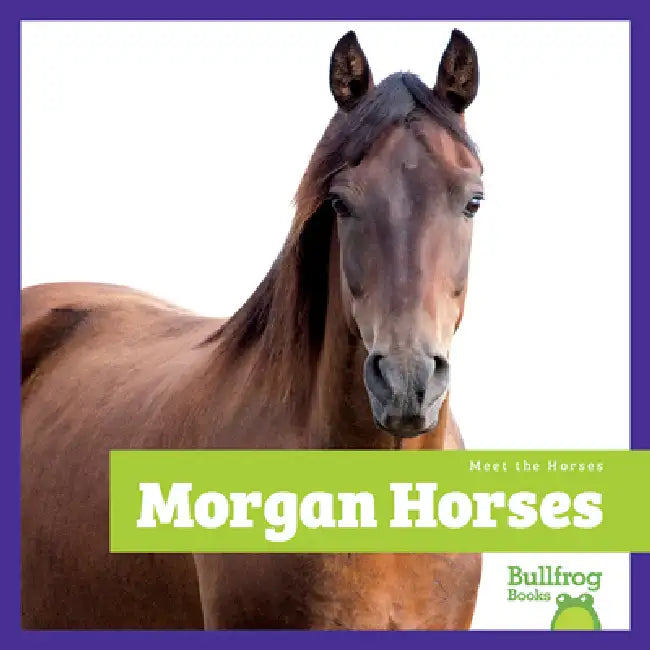 Buy Morgan Horses (English, Rachel Grack) Online at Best Price - BookBajar