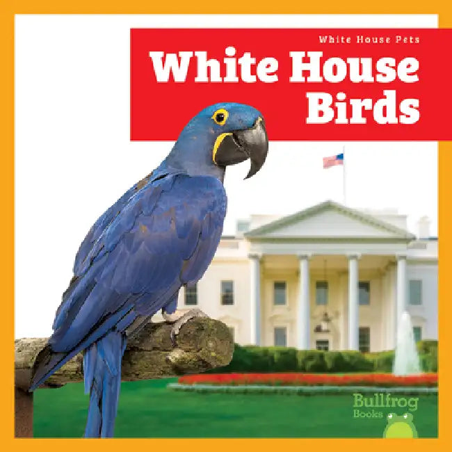 Buy White House Birds (English, Lily Austen) Online at Best Price - BookBajar
