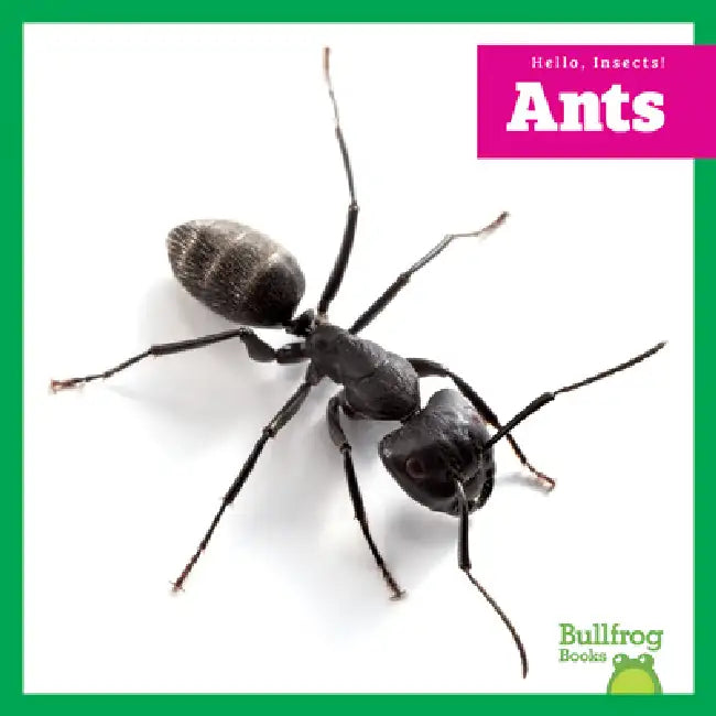 Buy Ants (English, Adeline J. Zimmerman) Online at Best Price - BookBajar
