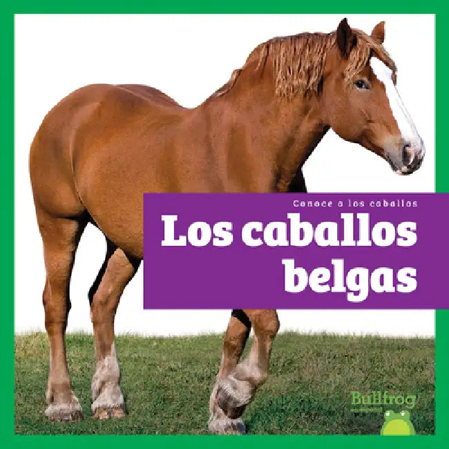 Buy Los Caballos Belgas (Belgian Horses) (English, Rachel Grack) Online at Best Price - BookBajar