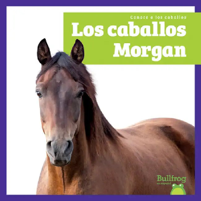 Buy Los Caballos Morgan (Morgan Horses) (English, Rachel Grack) Online at Best Price - BookBajar