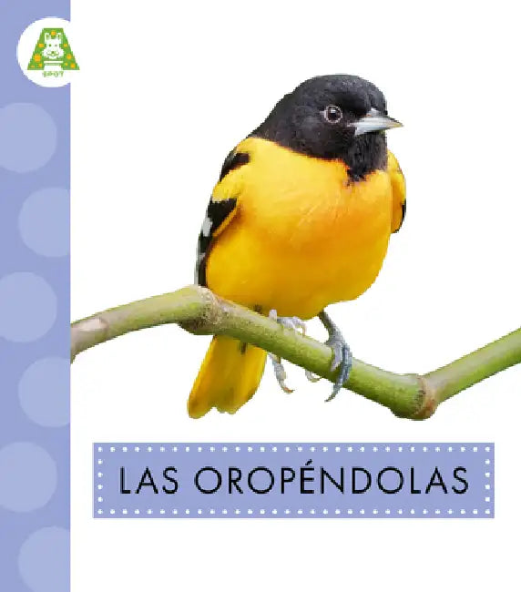 Buy Las Oropéndolas (English, Anastasia Suen) Online at Best Price - BookBajar