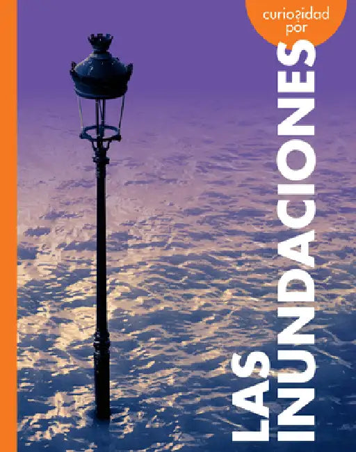 Buy Curiosidad Por Las Inundaciones (English, Rachel Grack) Online at Best Price - BookBajar