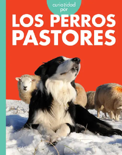 Buy Curiosidad Por Los Perros Pastores (English, Cari Meister) Online at Best Price - BookBajar